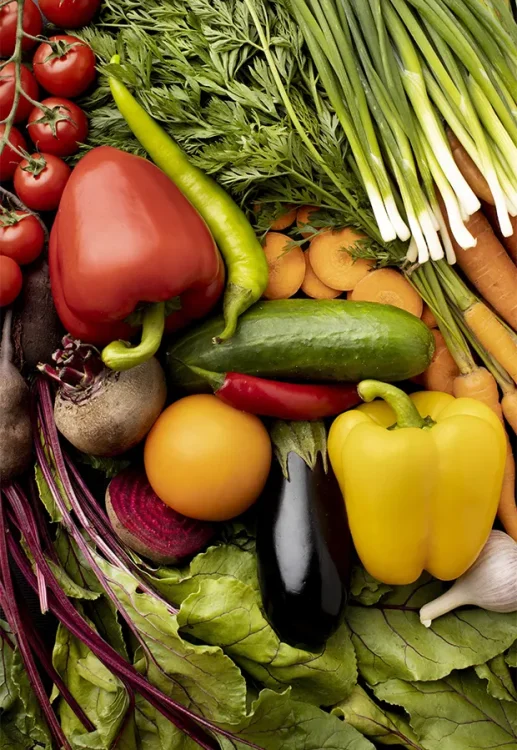 HORTIFRUTI 12
